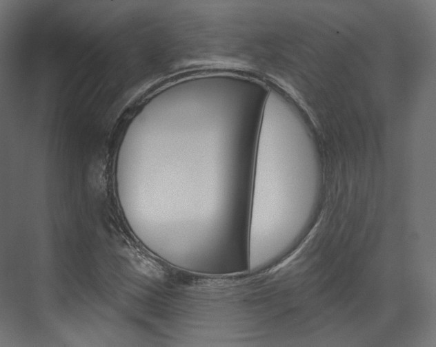 X0000074241163200608250834
