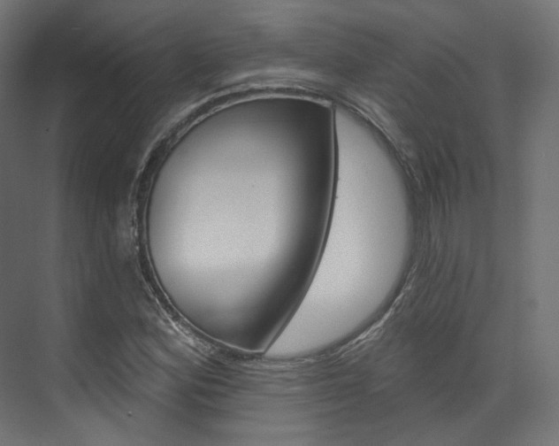 X0000074241164200608250834