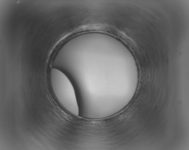 X0000074241166200608250834
