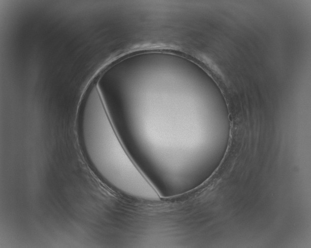 X0000074241173200608250834