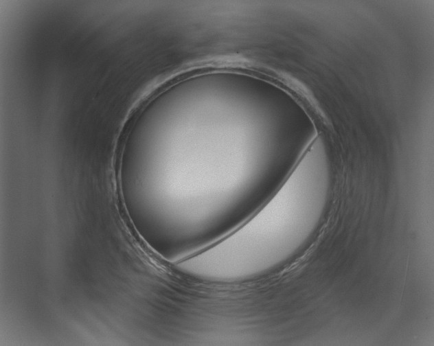 X0000074241176200608250834
