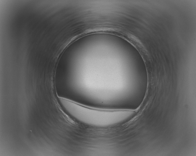 X0000074241177200608250834