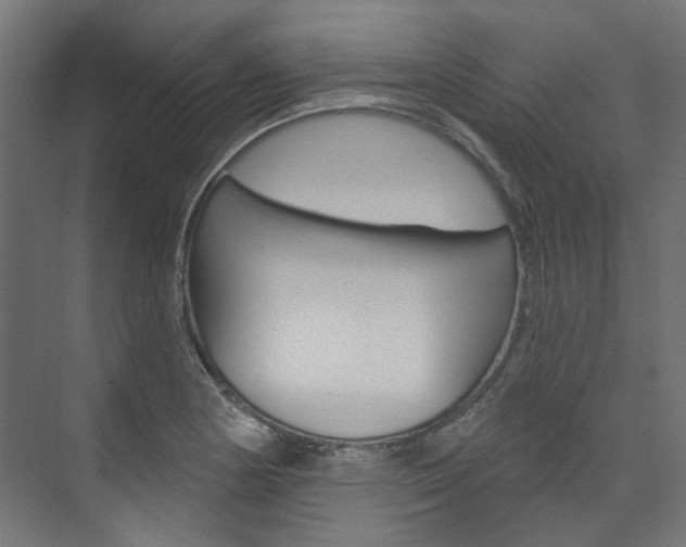 X0000074241178200608250834