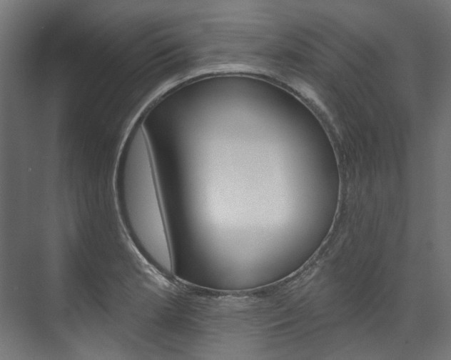 X0000074241181200608250834