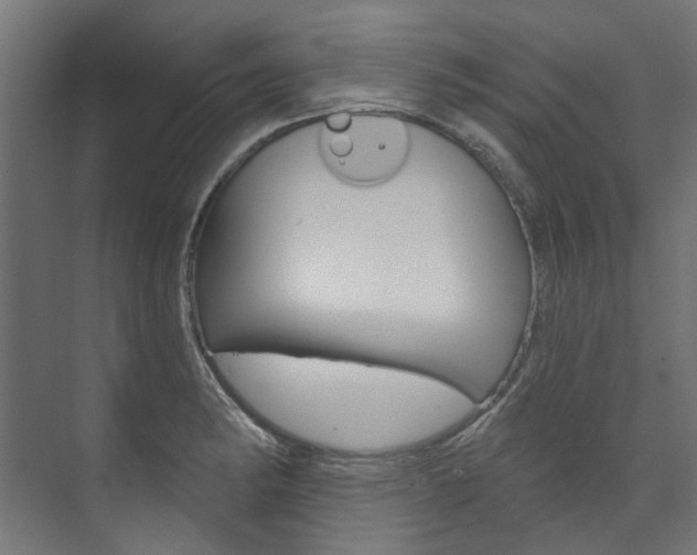 X0000074241182200608250834