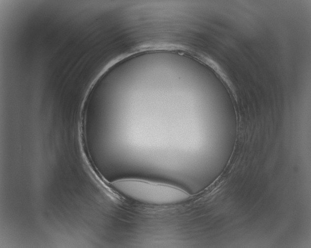 X0000074241187200608250834