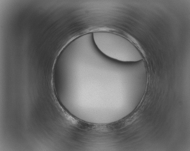 X0000074241194200608250834