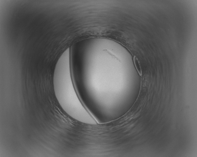 X0000074241202200608250833