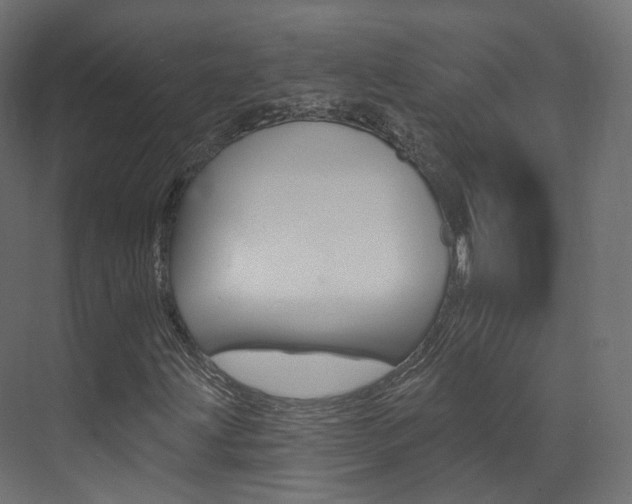 X0000074241203200608250833