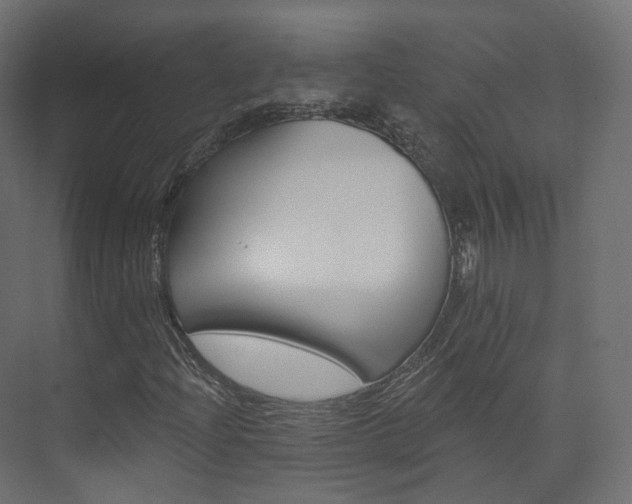X0000074241204200608250833