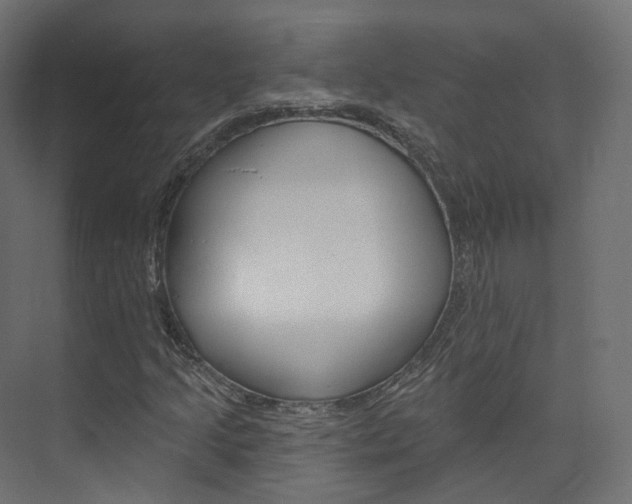 X0000074241205200608250833