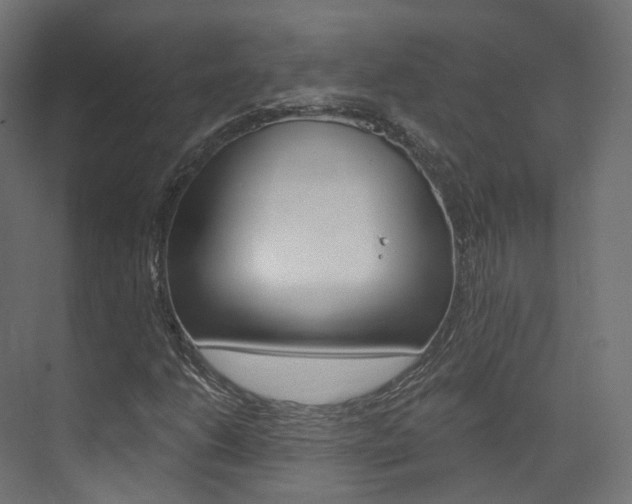 X0000074241206200608250833