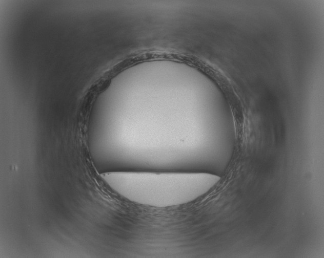 X0000074241207200608250833