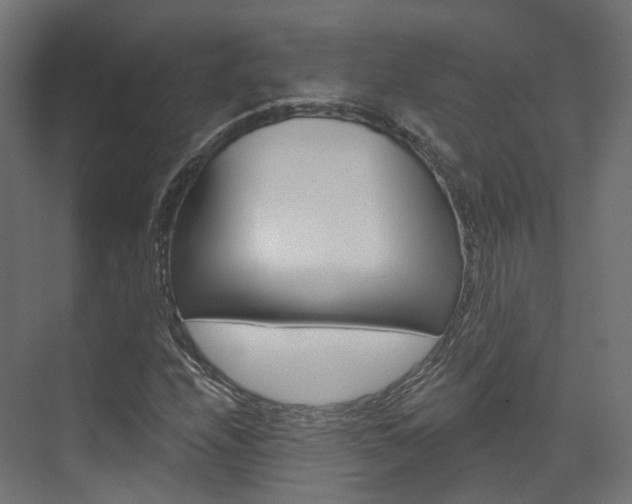 X0000074241208200608250833