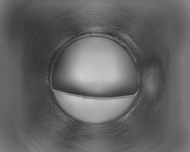 X0000074241209200608250833