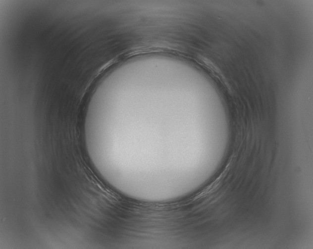 X0000074241210200608250833