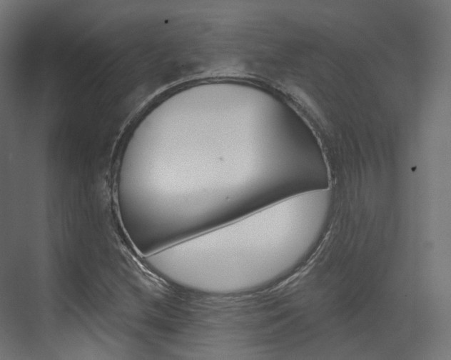 X0000074241212200608250833