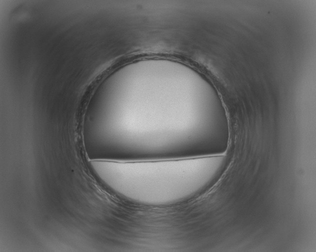 X0000074241213200608250833