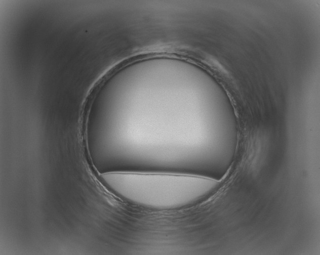 X0000074241216200608250833