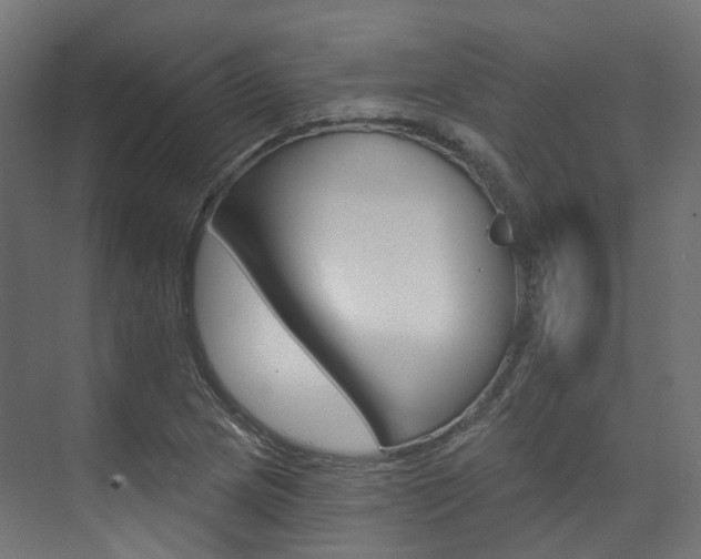 X0000074241217200608250833