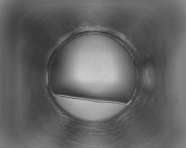 X0000074241221200608250833