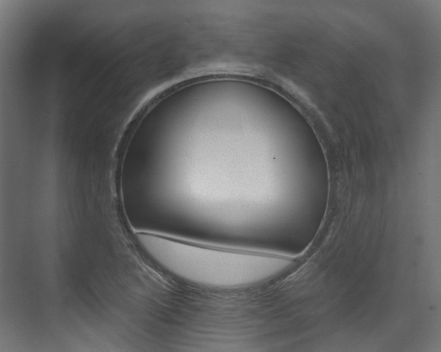 X0000074241222200608250833