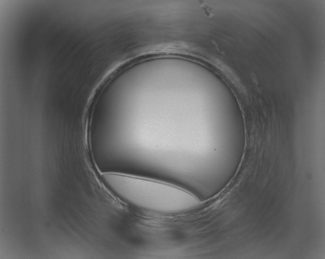 X0000074241224200608250833