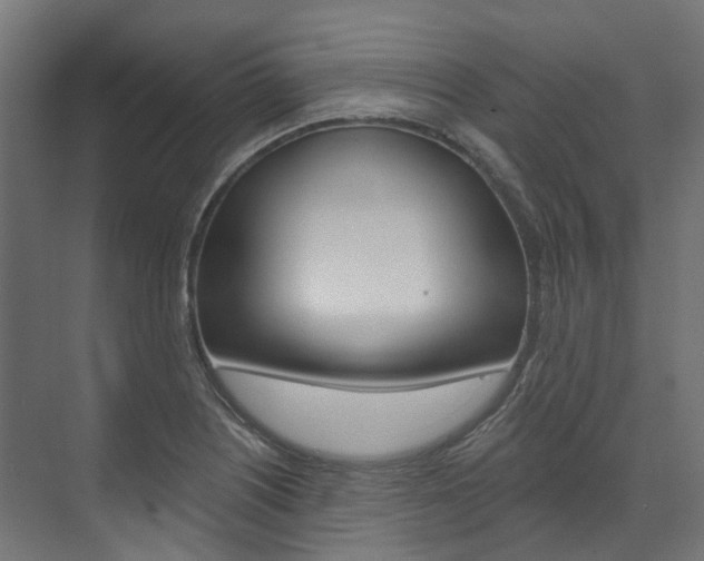 X0000074241226200608250833