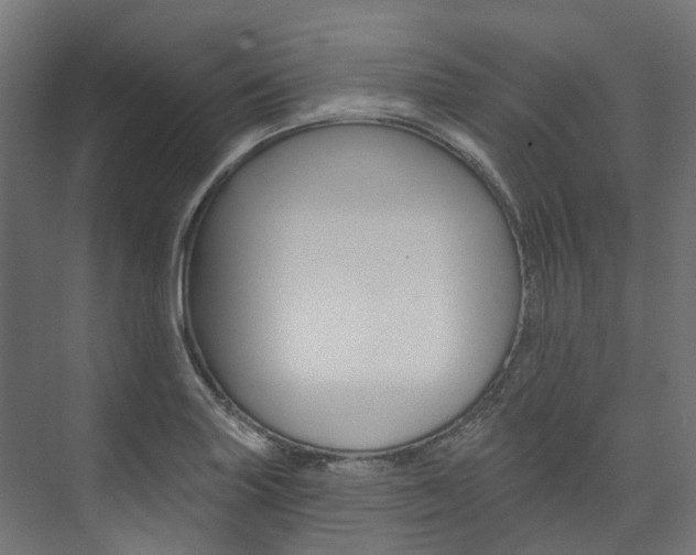 X0000074241227200608250833