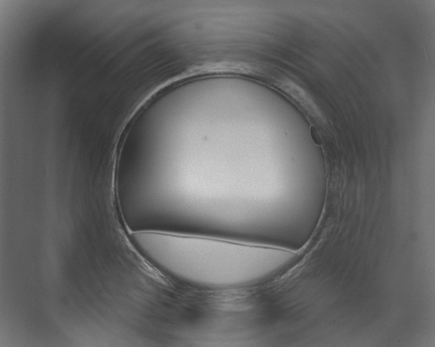 X0000074241228200608250833