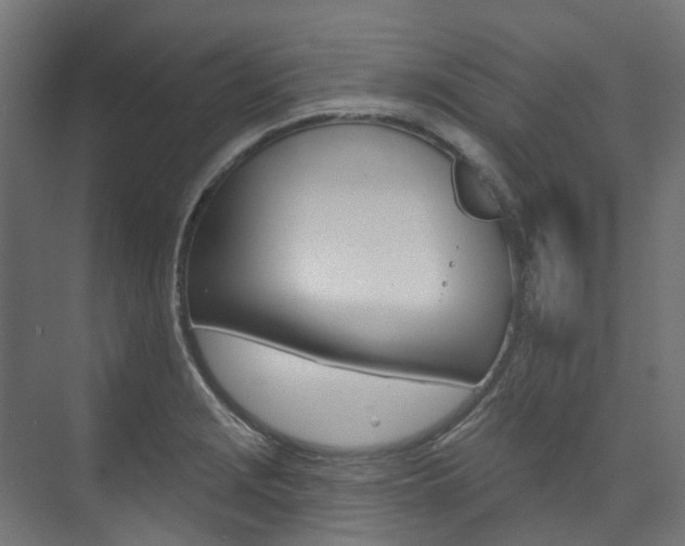 X0000074241229200608250833