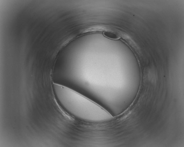 X0000074241233200608250834