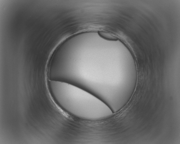 X0000074241235200608250834