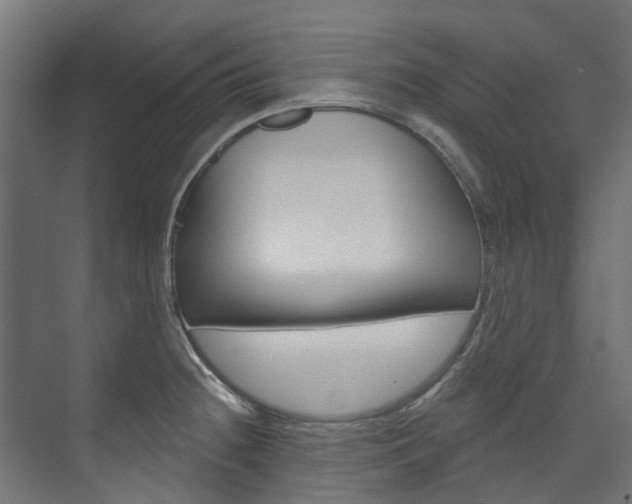 X0000074241236200608250834