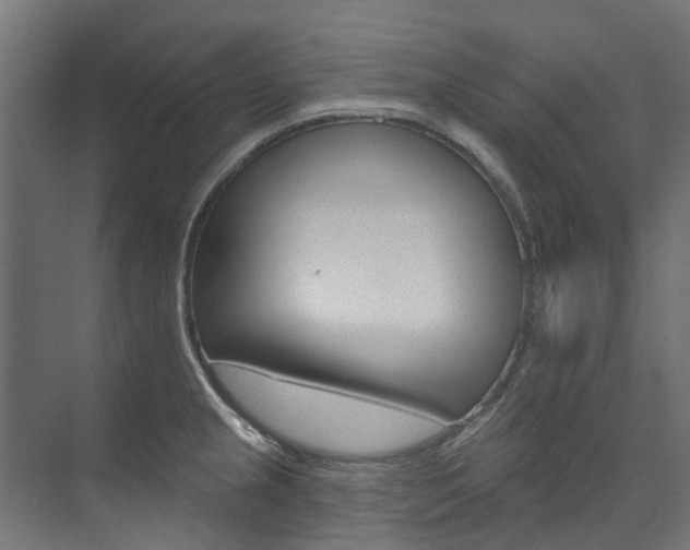 X0000074241237200608250834