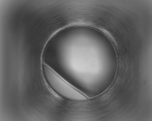 X0000074241238200608250834