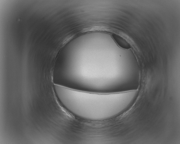 X0000074241241200608250834