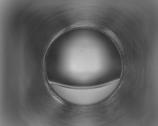 X0000074241242200608250834