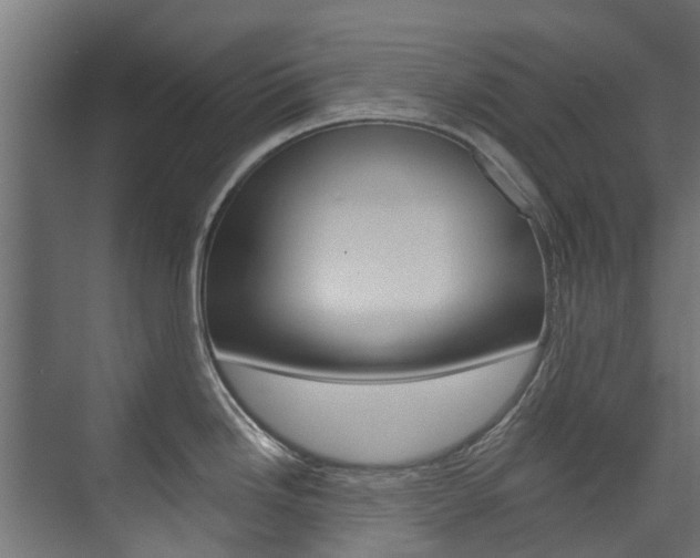 X0000074241246200608250834