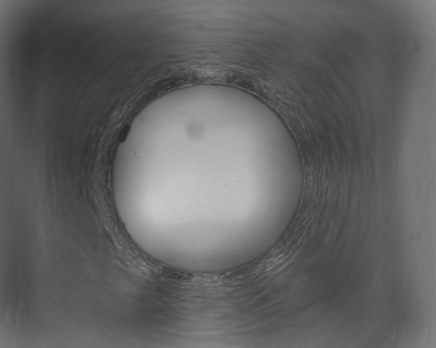 X0000074241249200608250833