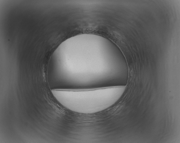 X0000074241252200608250833
