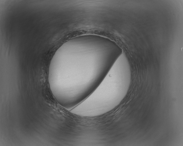 X0000074241253200608250833