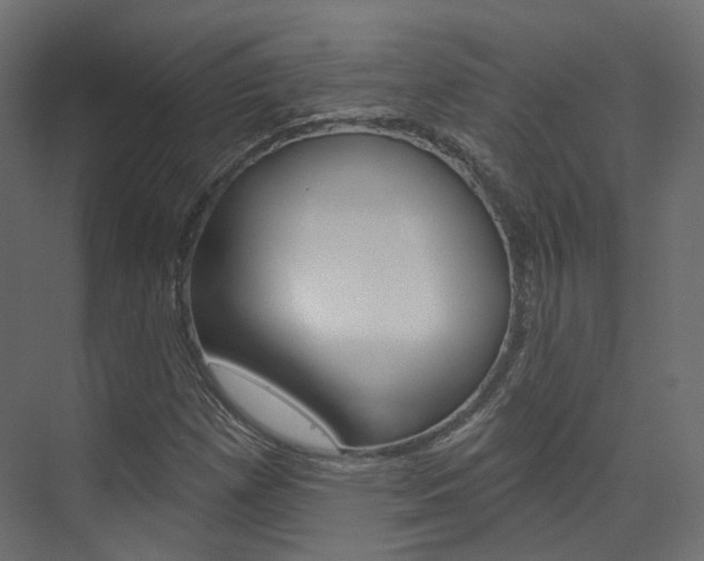 X0000074241257200608250833