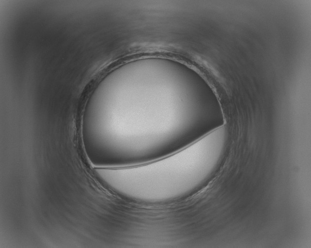X0000074241261200608250833