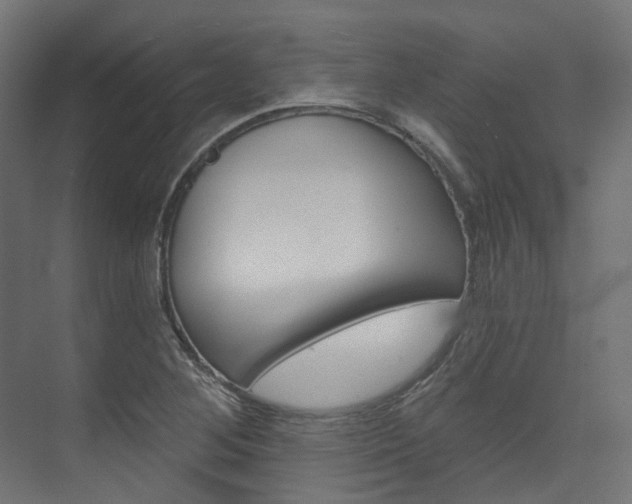 X0000074241268200608250833