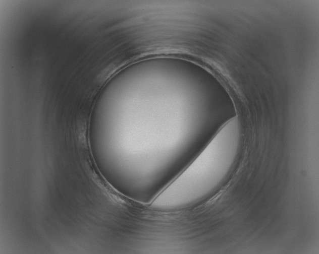 X0000074241273200608250833