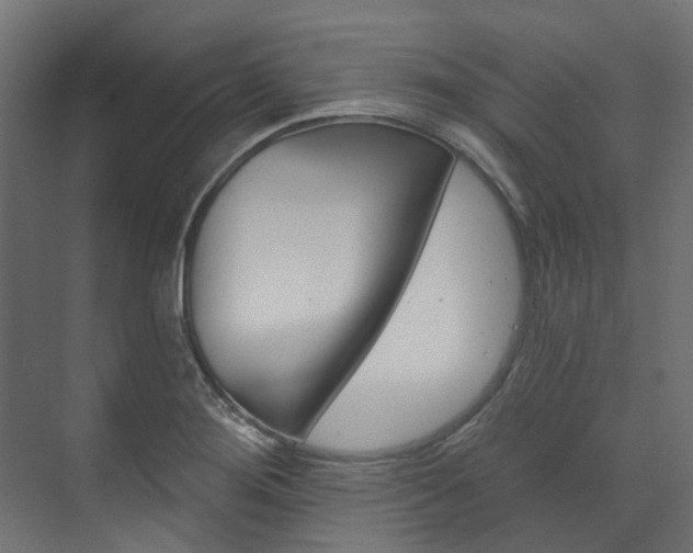 X0000074241276200608250833