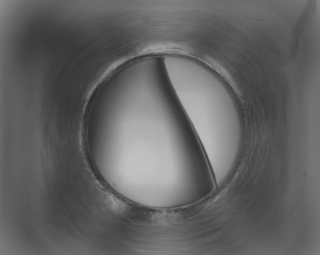 X0000074241277200608250833