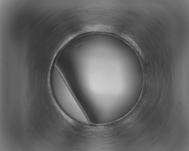 X0000074241285200608250832