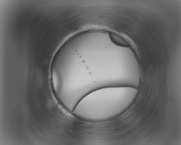 X0000074241287200608250832